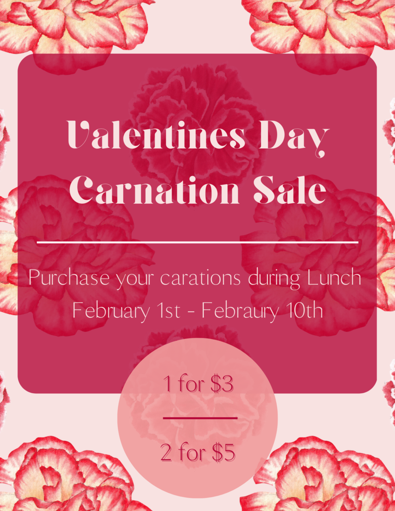 Valentines Day Carnation Sale